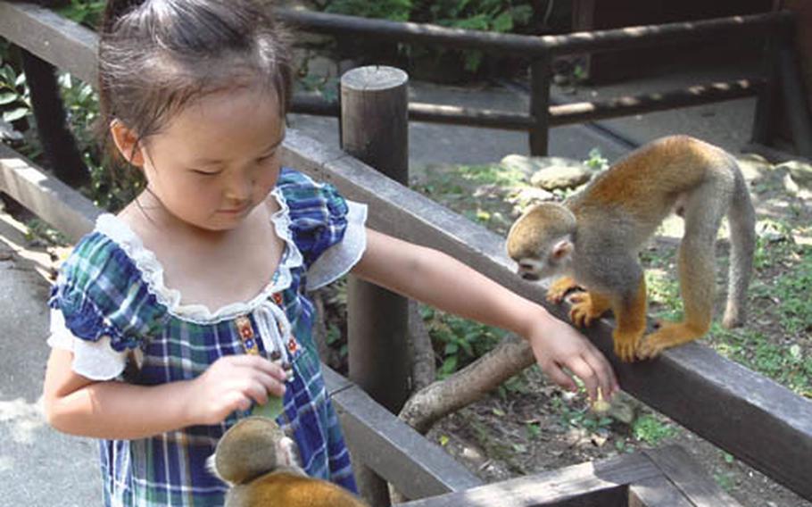 A girl invites a squirrel monkey to climb onto her arm at the Nagasaki Biopark.