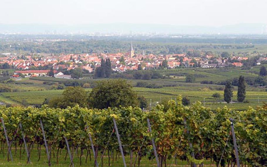 A view over the vineyards toward Freinsheim, and Mannheim far in the distance, can be seen from the Schlosspark in Herxheim.