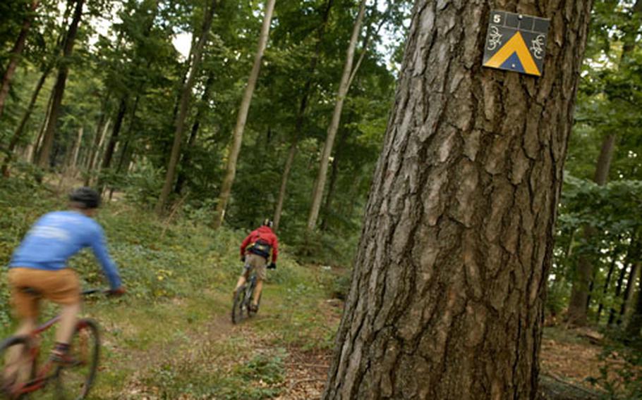 Nick Schulte, left, and Mike Glenboski charge into Trail 5 on Sept. 26 in Pfälzerwald’s mountain bike park at Johanniskreuz. Trails spread over more than 300 kilometers of the Palatinate Forest, so plan ahead before taking on this trail network