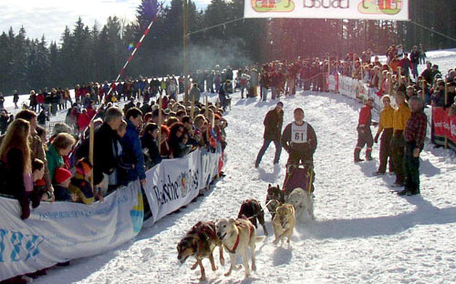 Spectators crowd along a fence to get a view of a sled-dog team in a past Black Forest Cup race in Todtmoos, Germany. This year’s race will be Saturday and Sunday.
