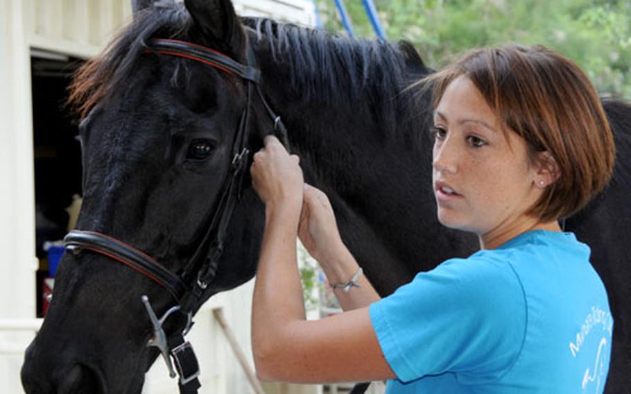 Samantha Straub, managing instructor at Mihara Horse Club, buckles Big&#39;s gear in preparation for putting him through his paces in the club&#39;s arena in Uruma City.
