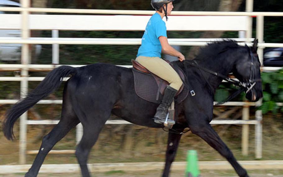 Samantha Straub puts Big through his paces at the club&#39;s arena in Uruma City.