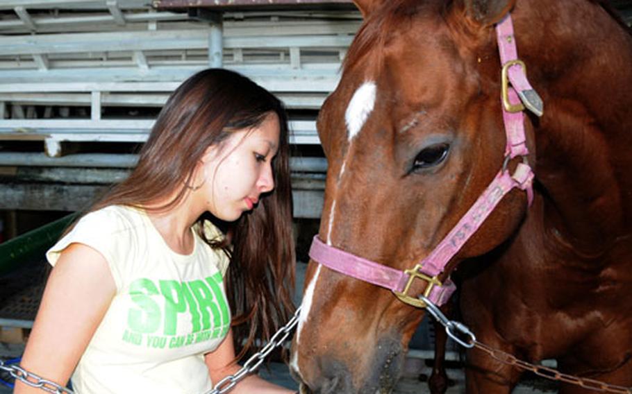 Selena Gojovaagi, 14, feeds Essassa a bit of apple before she grooms him at the Mihara Horse Club in Uruma City. Gojovaagi has been riding at the club for two years.