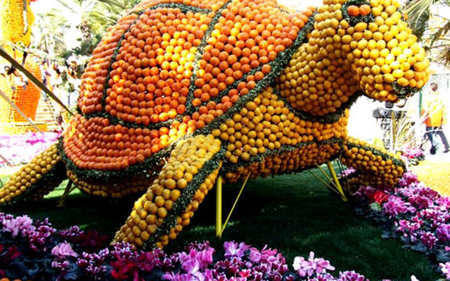 A large tortoise made of lemons and oranges occupies a place of honor in a Menton park during th 2008 Lemon Festival.