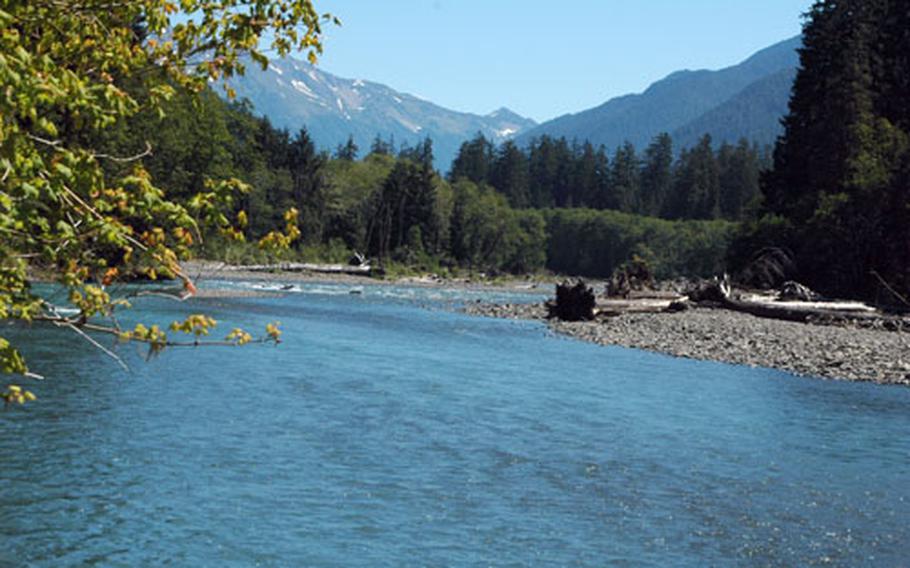 Flowing from glaciers high in the mountains, the Hoh River is just one of the many sights visitors can experience in Olympic National Park.