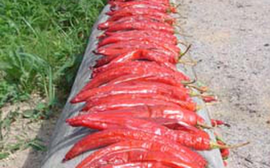 Chili peppers dry outside a South Korean home during the summer on Deokjeokdo, an island about 48 miles from Incheon’s Yeonan Pier. The island offers scenic beaches and cheap room rates before the summer tourist crush.