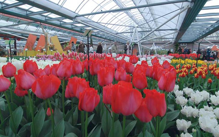 Visitors look at the flowers blooming in the Prince Willem Alexander Pavilion. The large hall makes it possible to have blooming flowers when it is still too cold outside.