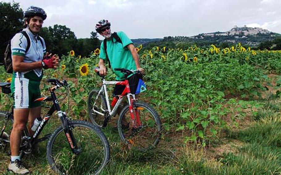 Riccardo Baldanzi and Bicycle Bob take a break from pedaling in a sunflower field. Baldazani owns a bike shop in Roccatederighi and conducts guided tours by bicycle on a variety of itineraries.