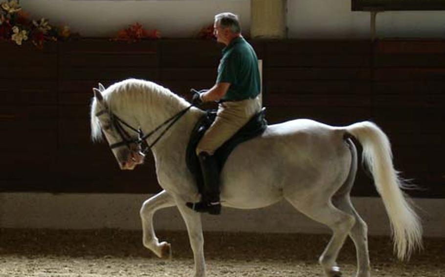 The fanciful riding style known as dressage is the specialty of Lipizzaner stallions.