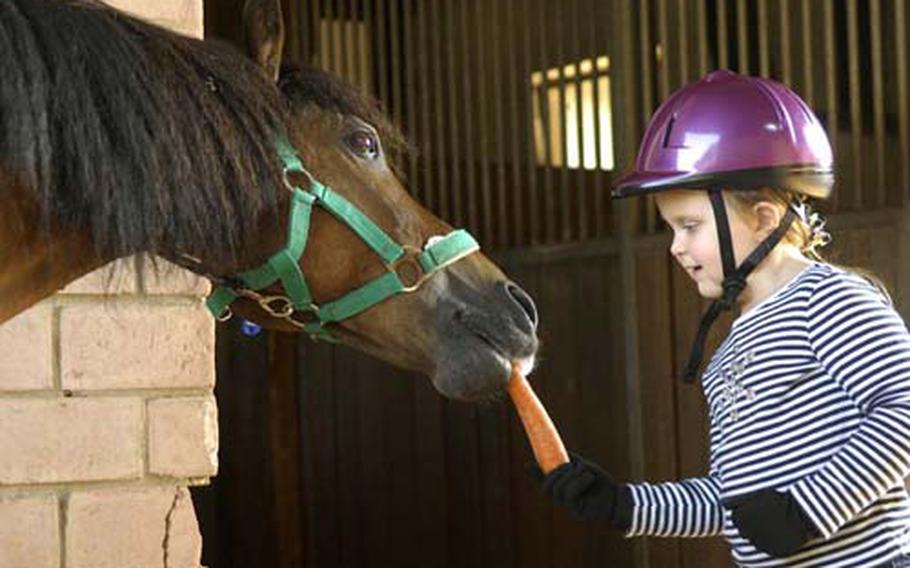 Aysha Craft gives "Alex" a treat before his grooming. Feeding and grooming horses help kids become more comfortable with being around horses.