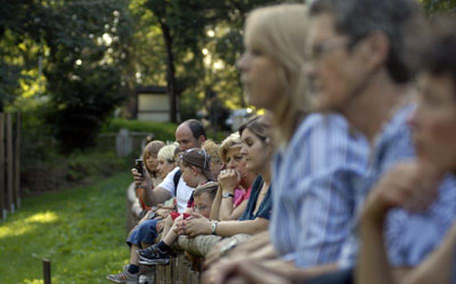 A crowd gathers to watch Freund interacting with the wolves. People are welcome to stroll past the enclosures on a network of trails during the park’s opening hours, between sunup and sundown