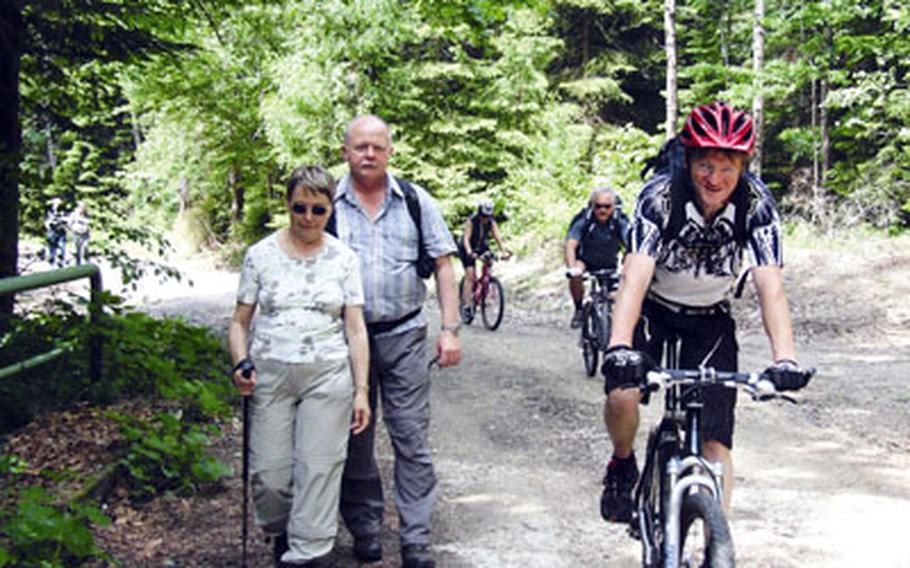 There are miles of cycling and hiking paths in the Bavarian Forest National Park.