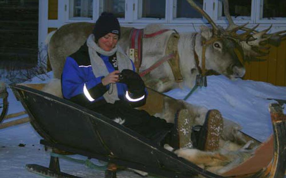 A reindeer safari is another popular way to see the snow fields around Levi, Finland. Some of the rides begin with herding and then lassoing the reindeer that will pull the sled.