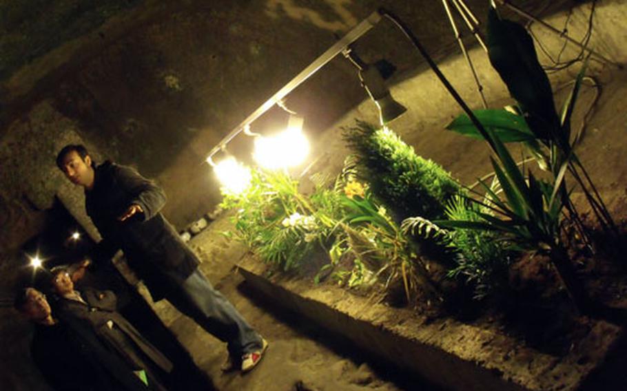 An experimental botanical garden, started in Naples’ underground about 15 years ago, requires no care other than the grow lamps. With 80 percent humidity in the city’s bowels, the plants need no watering.