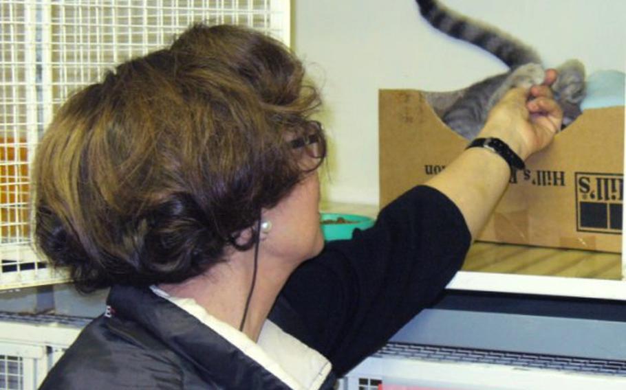 Lia Dequel, one of the founders of the Torre Argentina Cat Sanctuary, reaches out to one of the cats that hangs around the office.