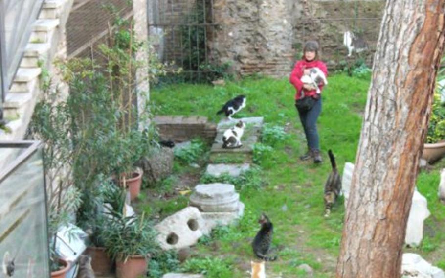 A volunteer with the Torre Argentina Cat Sanctuary tends to a group of strays that has settled around the Roman ruins in the section of Rome known as Largo di Torre Argentina.