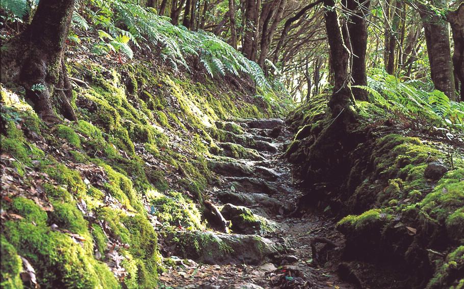 Some of the trails through the Laurissilva forests of the Anaga Mountains on the northeastern end of the island of Tenerife date back to ones used by the original people of the island.