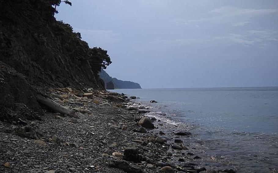 The coastline of the Black Sea  between  Praskaveevka  and Dzhankhot  is defined by steep cliffs to which cling pines, and a beach of large, smooth stones. Tourists are few and far between.  Skala Parus, or Sail Cliff, stands in the distant background.