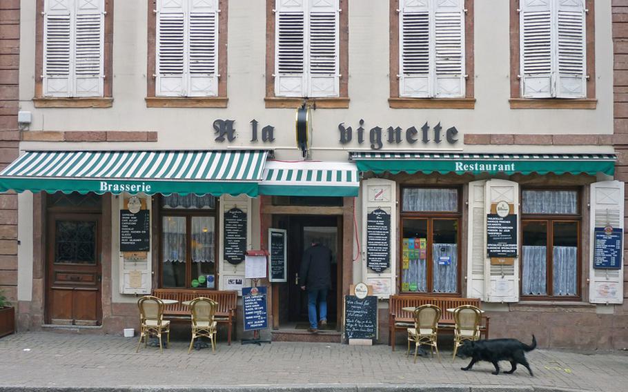 A four-legged friend follows his master to a Wissembourg brasserie at lunchtime.