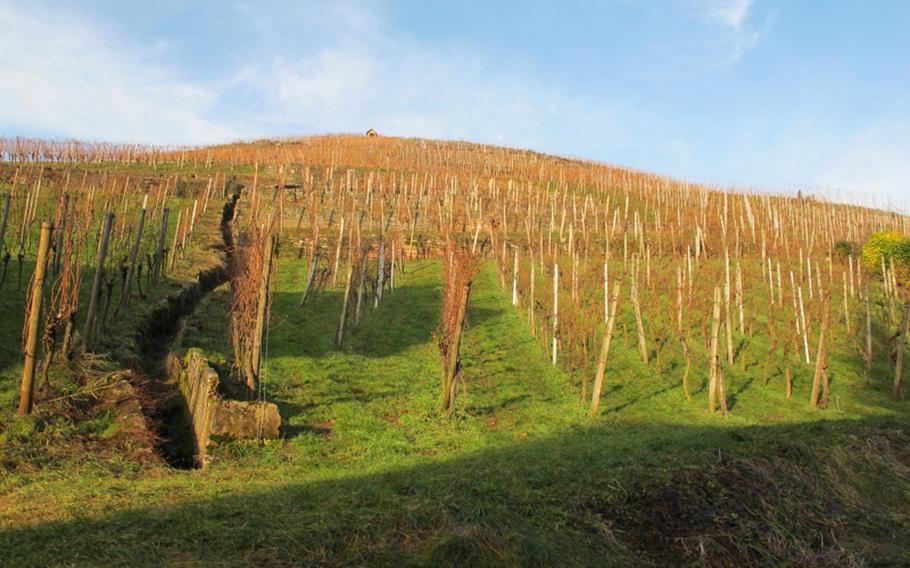 Besens are often situated right among the vineyards from where the grapes originate.  In the winter, after the grapes are harvested and the leaves are gone, the vineyards provide the appropriate backdrop for tasting wine.