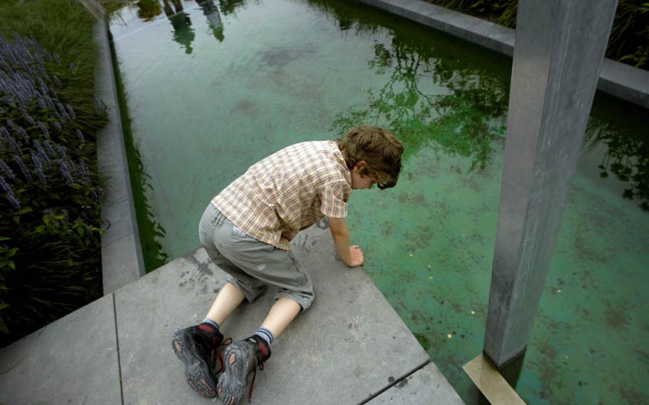 A youngster looks for tadpoles at the Ehrenbreitstein fortress in Koblenz, Germany, during the biennial horticulture show.