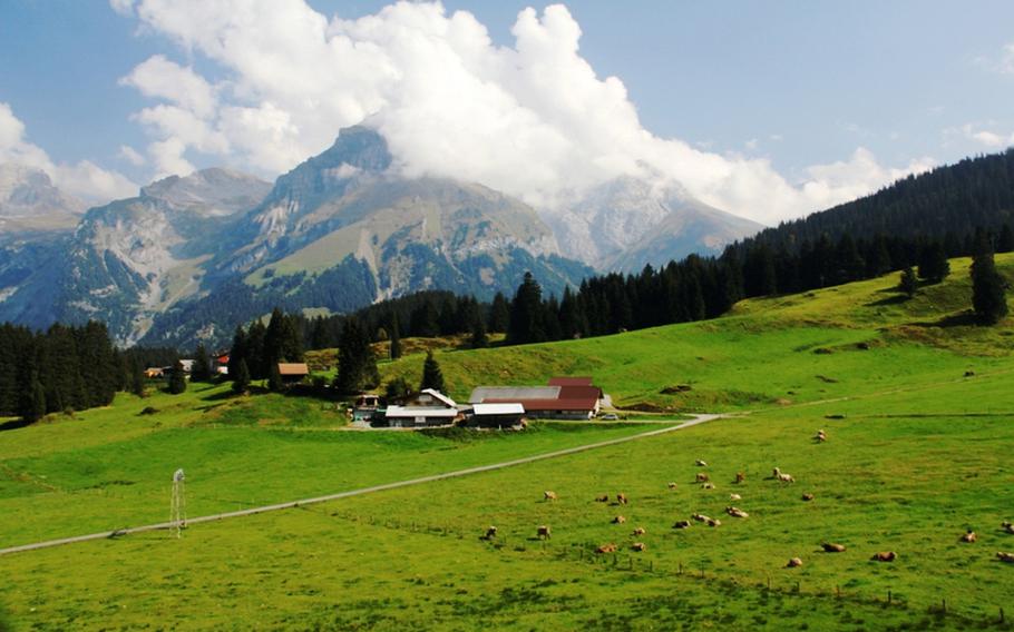 The Gerschnialp farm is nestled amid the mountains of central Switzerland. The milk from its cows, grazing in the foreground, is used to make six kinds of Alpine cheeses, along with butter and yogurt.