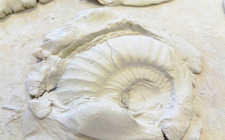 After a visit to the Urwelt-Museum Hauff, make your own fossil prints with clay and shells.