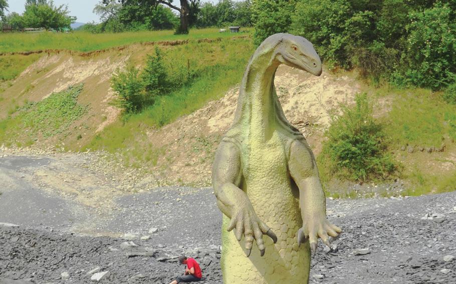 A fossil hunter from Böblingen Elementary Middle School in Panzer Kaserne, Stuttgart, seems oblivious to the dinosaur statue hovering nearby at the Urwelt-Museum Hauff in Holzmaden,  Germany. In late May 2012, five second-grade classes from the school visited the fossil museum, Dino Park and a slate quarry rich with Jurassic fossils.