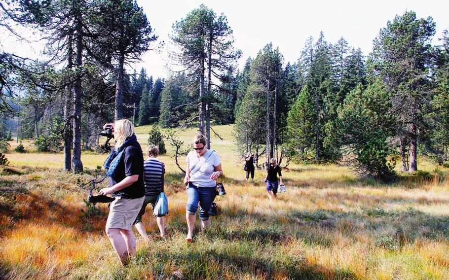 At one point in the guided hiking tour of the Biosphere Reserve, participants trek barefoot through a soggy moor, feet sinking in the soft mud. While guided tours are an option at the reserve, hiking trails are clearly marked for those who want to venture on their own.