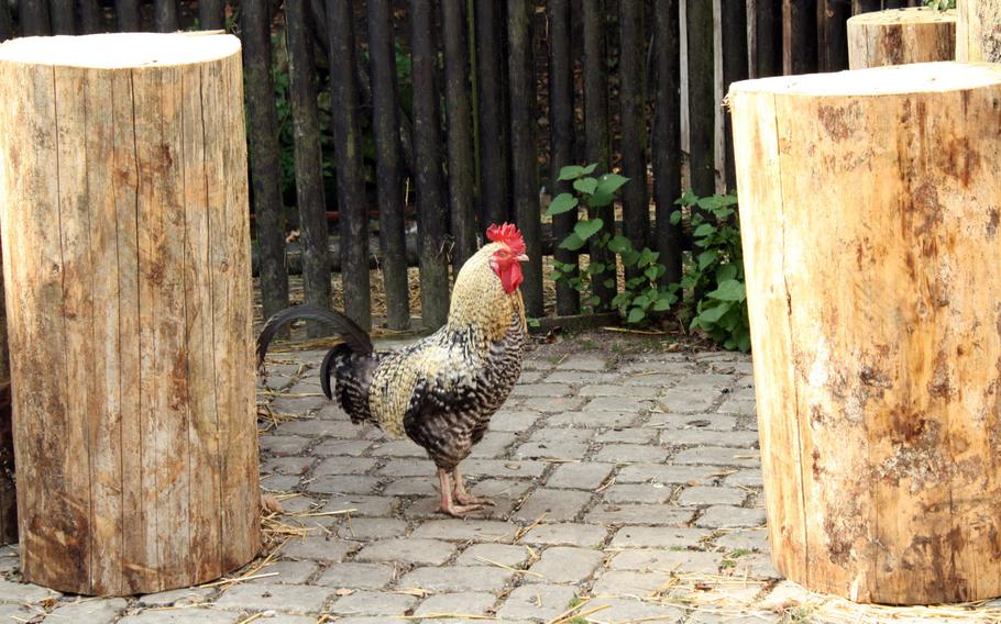 It's not really a farm, but random chickens linger around the Eselsmuehle mill, giving the spot south of Stuttgart, Germany, a country living flavor.