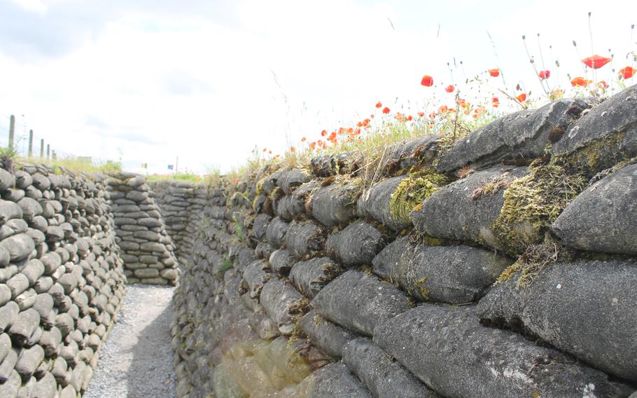 Red poppies grow along the Trench of Death in Diksmuide, Belgium. Visitors can experience what it's like to walk through a long stretch of the last surviving Belgian World War I trenches.