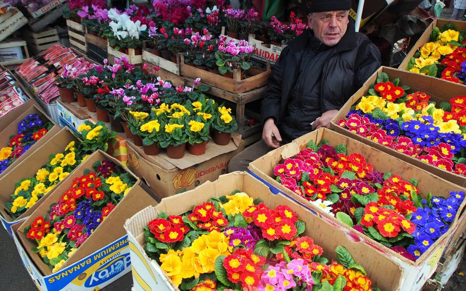 Flowers for sale at a market in Pristina, Kosovo, where skiers looking to explore the country's rugged mountains are likely to start their trip.