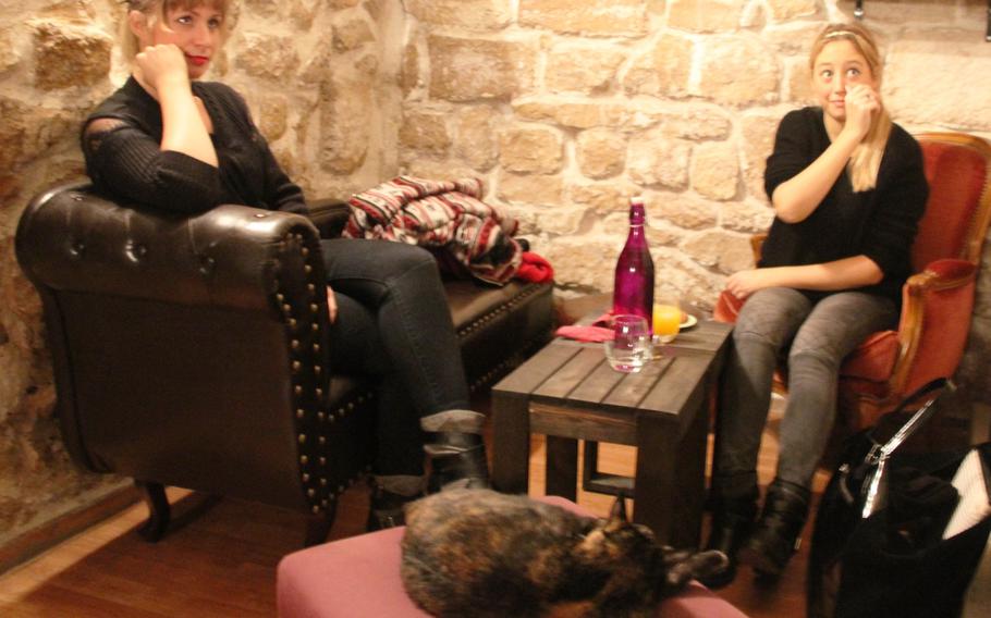 Customers enjoy refreshments as they share their space with a feline friend at Paris' Cafe des Chats. One of the rules, though: Don't feed the cats.