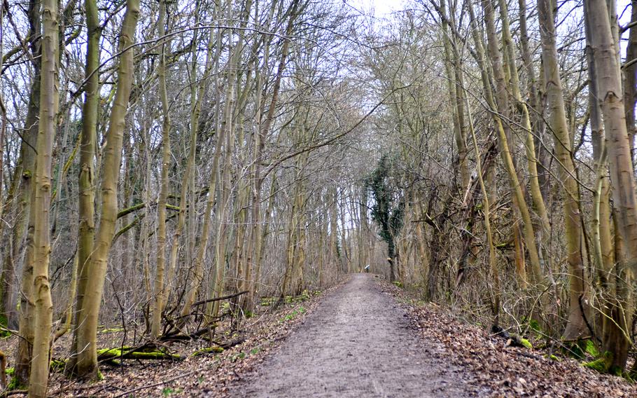 The hiking and biking trails at K??hkopf-Knoblochsaue nature reserve near Darmstadt, Germany, wind through peaceful, wooded land. Use caution in the winter, though, because the trails might be wet and slippery.