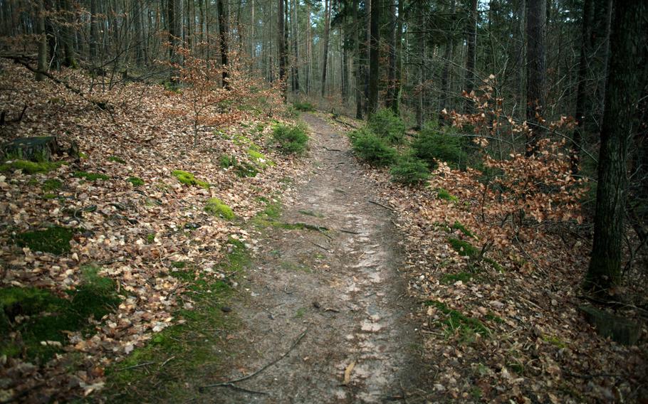 Much of the path to the ruin of Burg Beilstein near Kaiserslautern, Germany, is paved, except for the last uphill section, which is a dirt trail that curves around and up a hill.