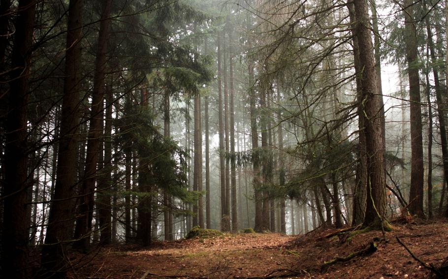 The woods behind the U.S. military's old Langerkopf radio relay station are haunting.