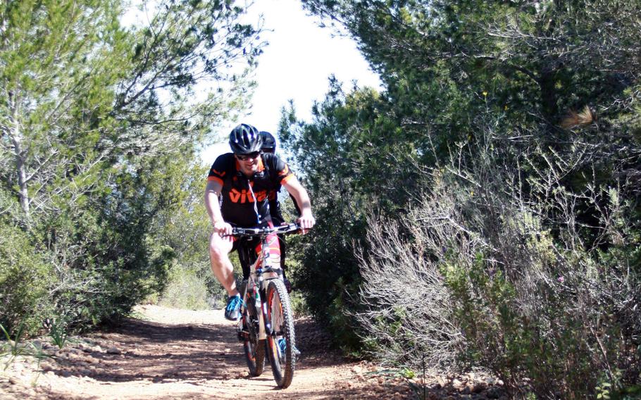 Bicycling in the Calvia region on the island of Mallorca offers off-road trails through pine forests, such as this one near Palma Nova, or paved paths leading past upscale villas.