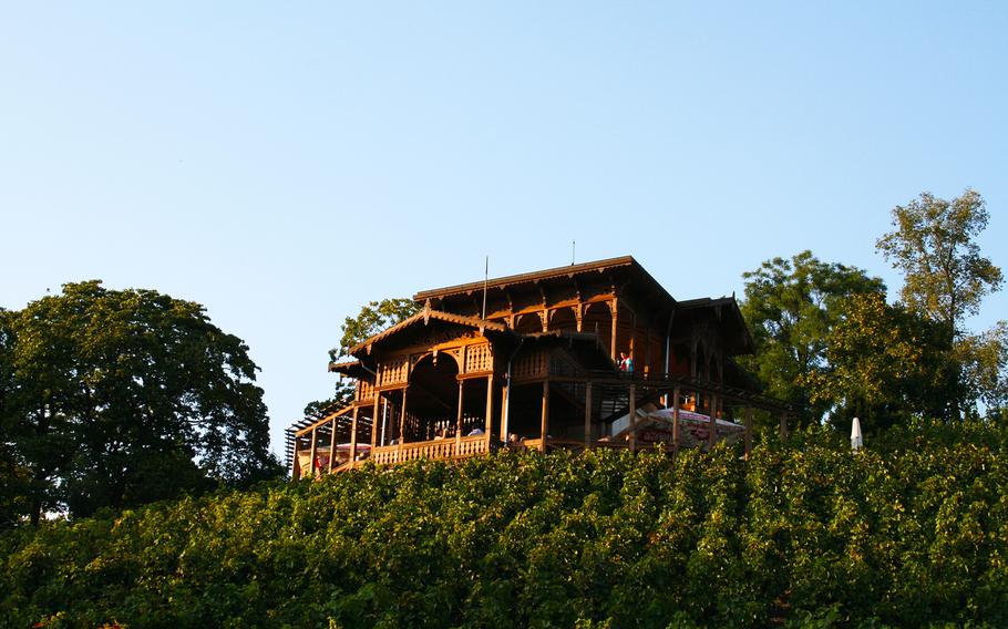 Vinicni Altan's wine gazebo overlooks the Grebovka vineyard, providing a scenic retreat from the city's buzz.