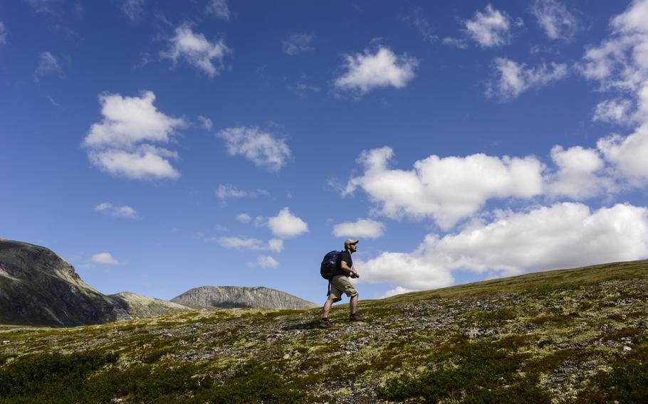 Stars and Stripes reporter Heath Druzin searches for a closer view of musk oxen in Dovrefjell National Park, Norway.