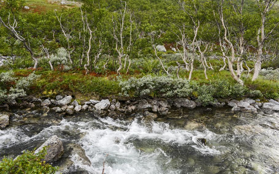 Beautiful scenes like this are in abundance in Dovrefjell National Park, Norway.