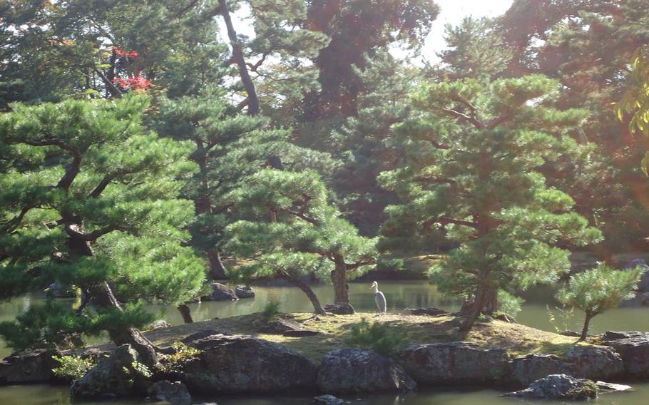 At Kinkaku-ji, or temple of the golden pavilion, a crane basks in the glow from the small islands of Naka-jima and Iwa-jima, flanked by peculiar rock formations.