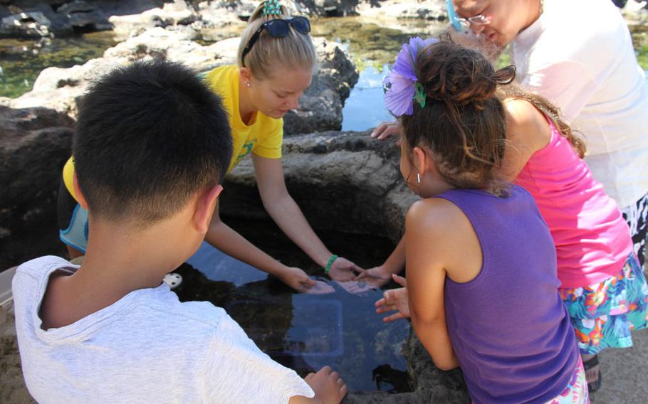 An aquarium volunteer helps visitors hold baby hermit crabs near the outside display of a coral reef eco-system.