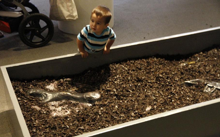 Every paleontologist has to start somewhere: A boy explores the topsoil covering a mock fossil site at the exhibit "Dinosaurs Unleashed."