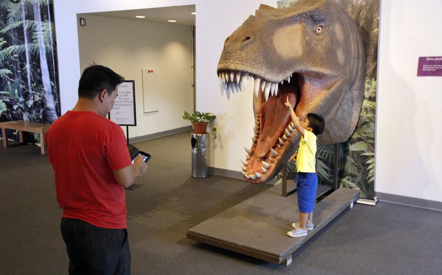 My, what big teeth you have, T-rex! A child gets a close look at a model at the Bishop Museum's "Dinosaurs Unleashed" exhibit in Honolulu. 