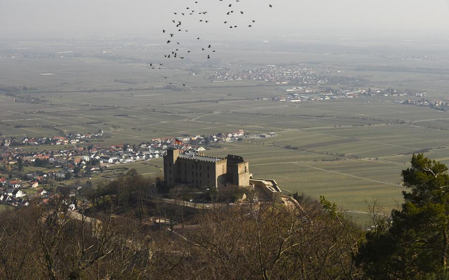 Hambach Castle, situated along the eastern edge of the Palatine Forest, is known as the "cradle of German democracy." In this view, one can see the vineyards below.