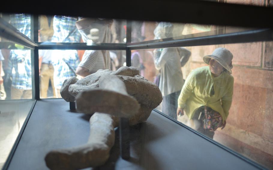 A visitor to the recently restored Villa dei Misteri in ancient Pompeii looks at a plaster cast model of one of the city's victims. Pompeii was buried under a layer of ash following the eruption of nearby Mount Vesuvius in 79 AD. The villa reopened to the public in spring 2015.