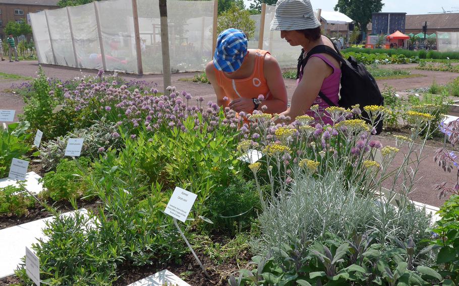 Two visitors take a look at the herbs on display at the Landesgartenschau in Landau, Germany. 