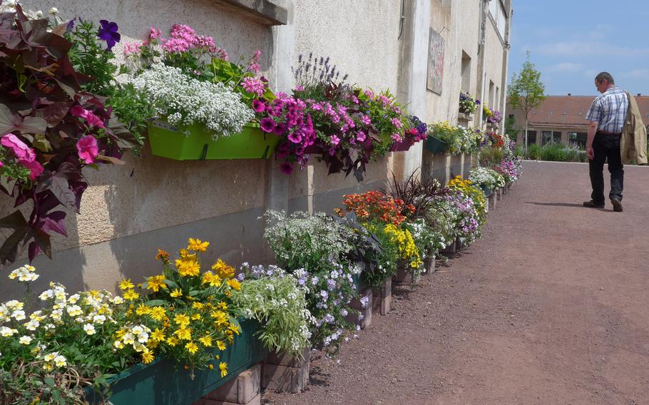 A variety of flower boxes at the Landesgartenschau in Landau, Germany, gives visitors an idea of the different flower combinations that can be used at home. 