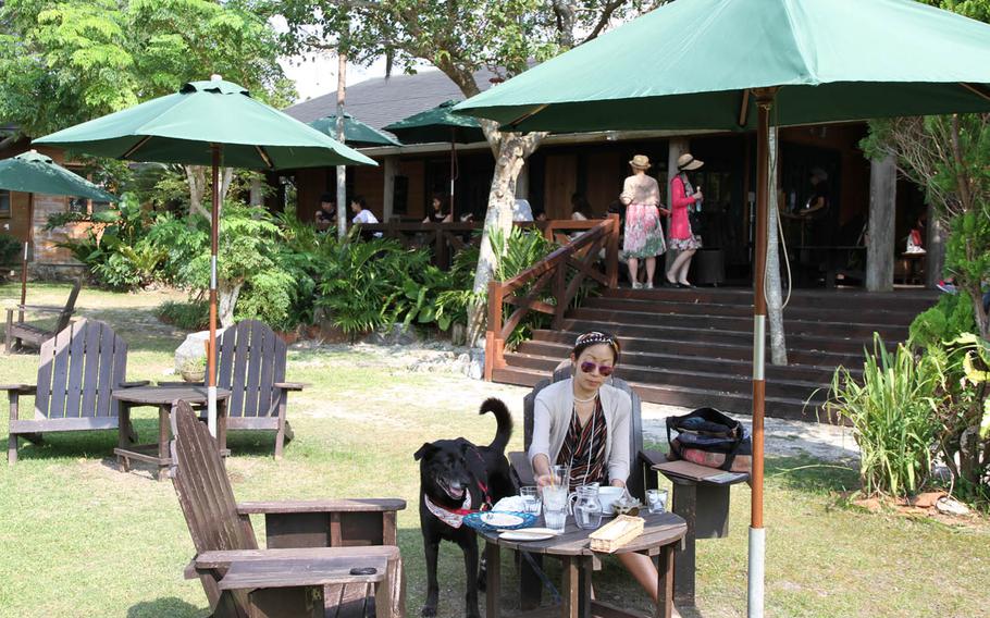 Fuu Cafe near Sesoko Beach in nothern Okinawa, Japan, serves affordably priced home-brewed coffee and an array of cuisine featuring home-grown organic herbs and vegetables. The restaurant offers the peace and quiet of a Southeast Asian jungle bungalow.