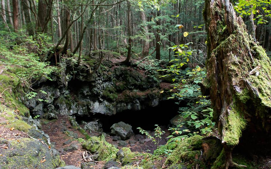 Aokigahara, known as the Sea of Trees or by its much darker nickname, The Suicide Forest, is a 14 mile wide expanse of forest located at the base of Mount Fuji.